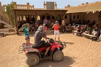 Morning Quad Bike Safari
